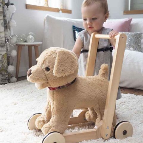 Jucarie Ride on toy caine pufos Golden Labrador pentru copii Little Bird Told Me