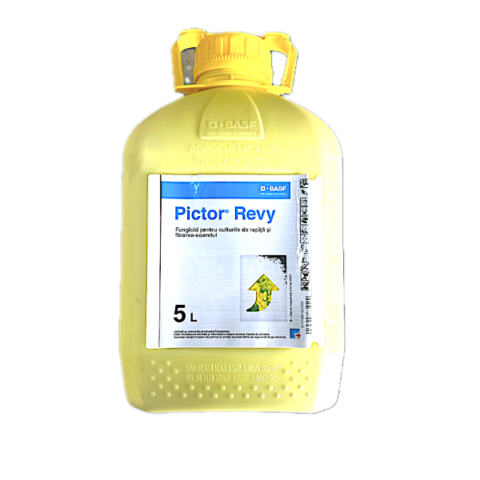 Pictor Revy 5 L