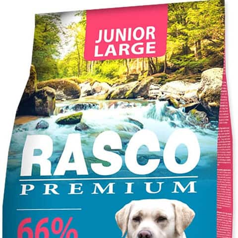 RASCO Premium JUNIOR Large