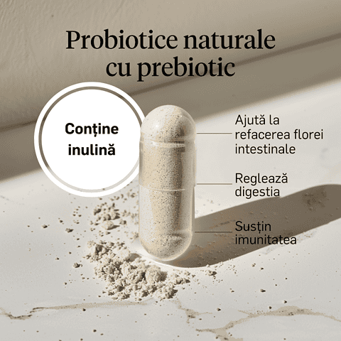 Probiotice naturale cu prebiotic