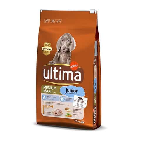 ULTIMA Dog Medium & Maxi Junior